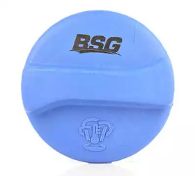 Запор BSG BSG 90-551-001